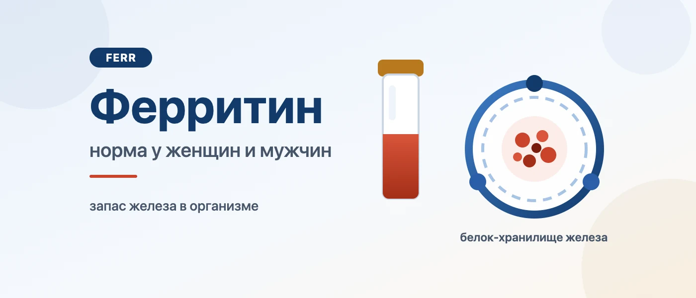 Обложка статьи: Ферритин: норма у женщин и мужчин по возрасту, таблица