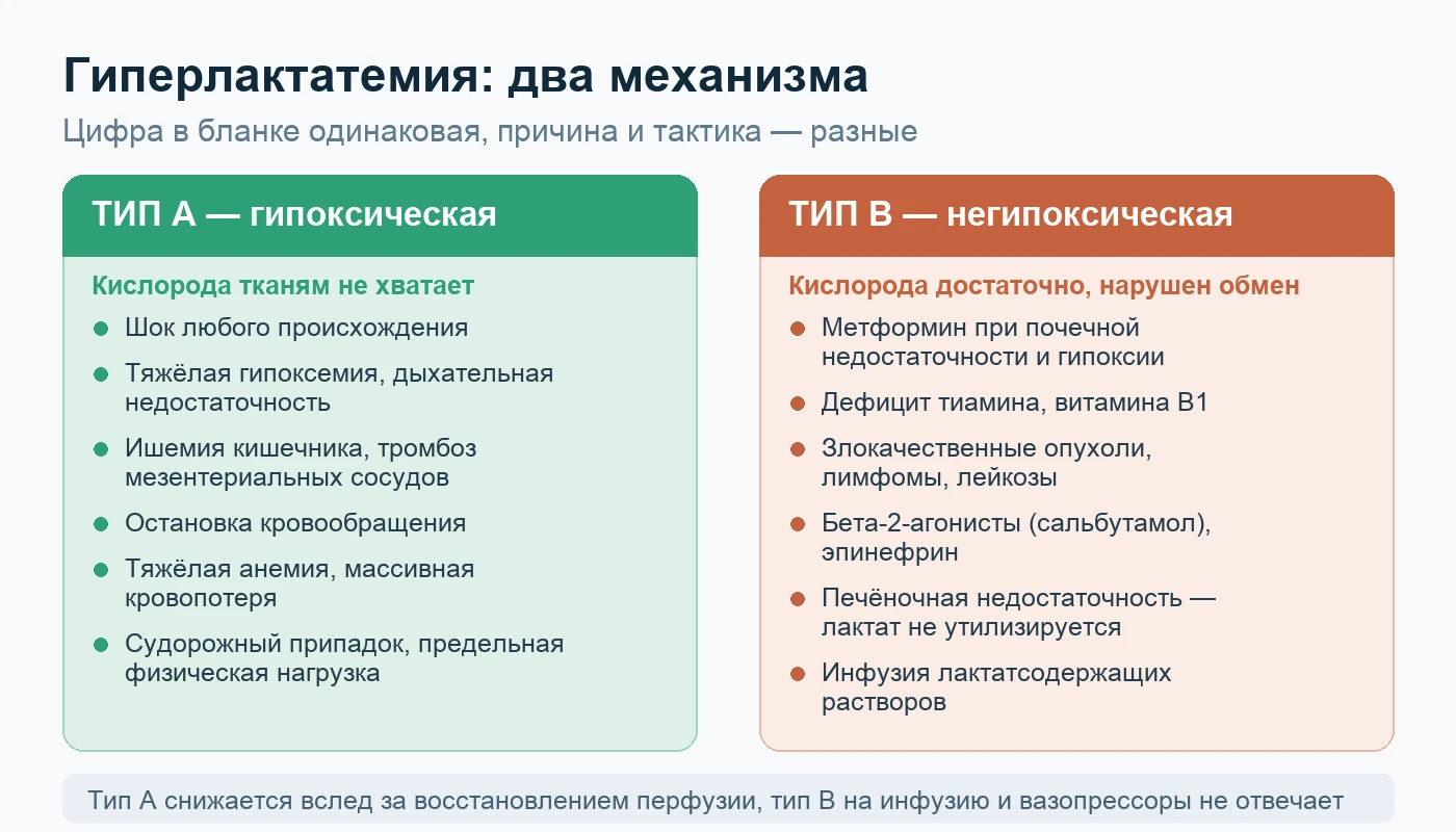 Схема: тип A и тип B гиперлактатемии — гипоксические и негипоксические причины повышения лактата