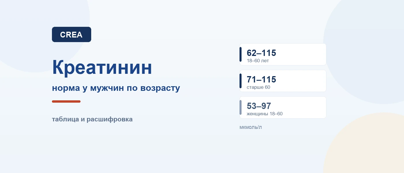 Иллюстрация к статье: Креатинин у мужчин: норма по возрасту и что значит результат