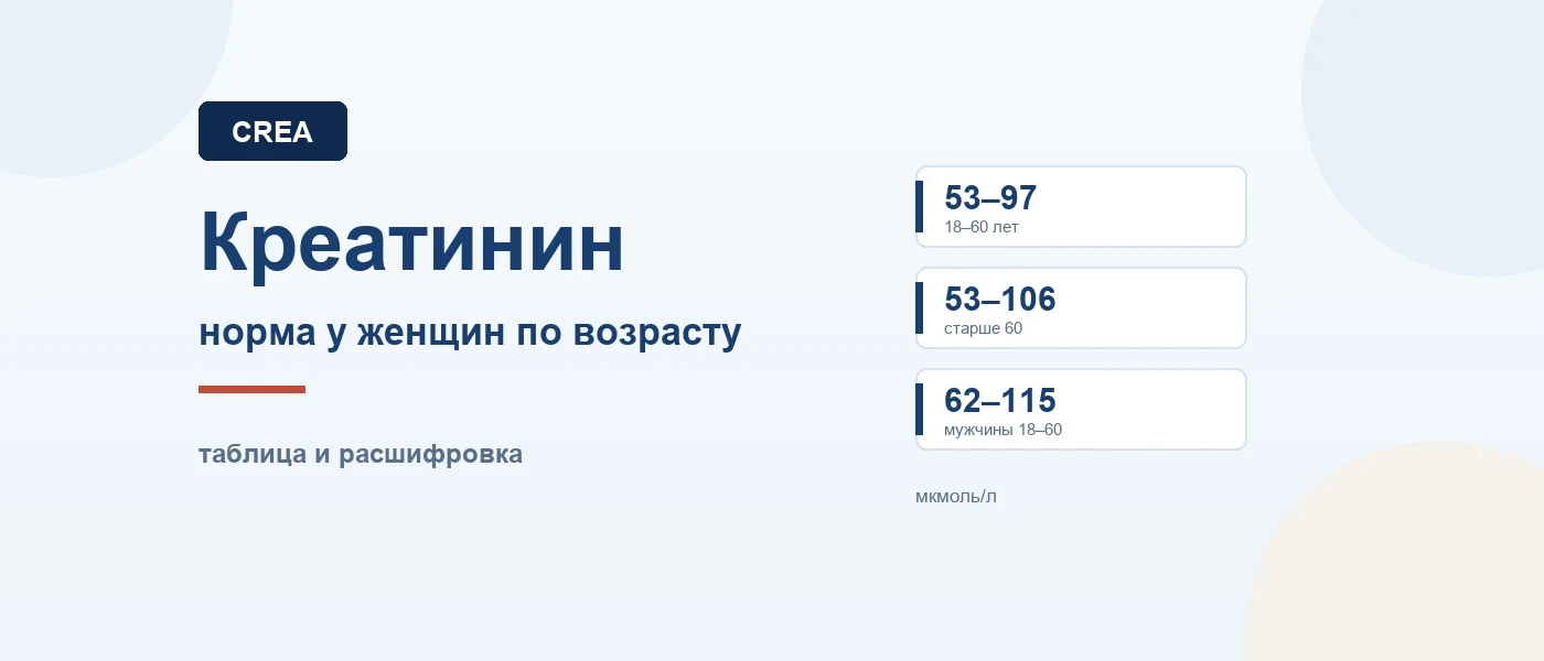 Иллюстрация к статье: Норма креатинина в крови у женщин по возрасту: таблица и расшифровка