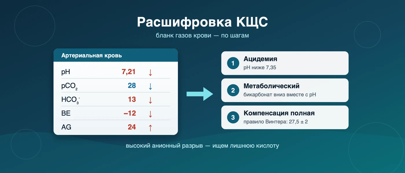 Обложка статьи: Расшифровка КЩС: алгоритм чтения бланка газов крови по шагам