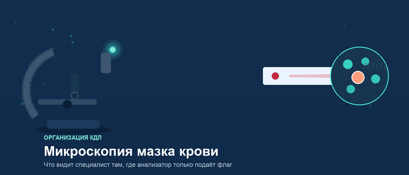 Иллюстрация к статье: Микроскопия мазка крови: когда обязательна и как её организовать в КДЛ