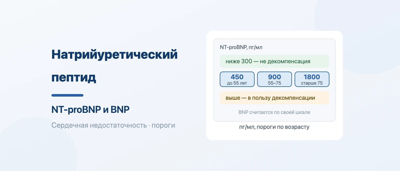 Иллюстрация к статье: Натрийуретический пептид (NT-proBNP и BNP): норма и расшифровка