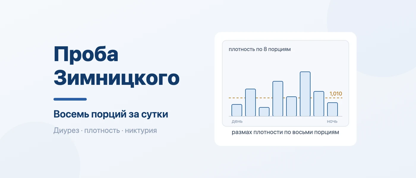 Обложка статьи: Проба Зимницкого: норма, расшифровка и как правильно собирать