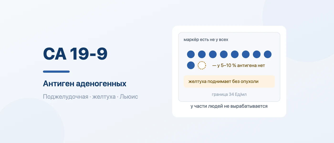 Иллюстрация к статье: Онкомаркер СА 19-9: что означает, норма и причины повышения