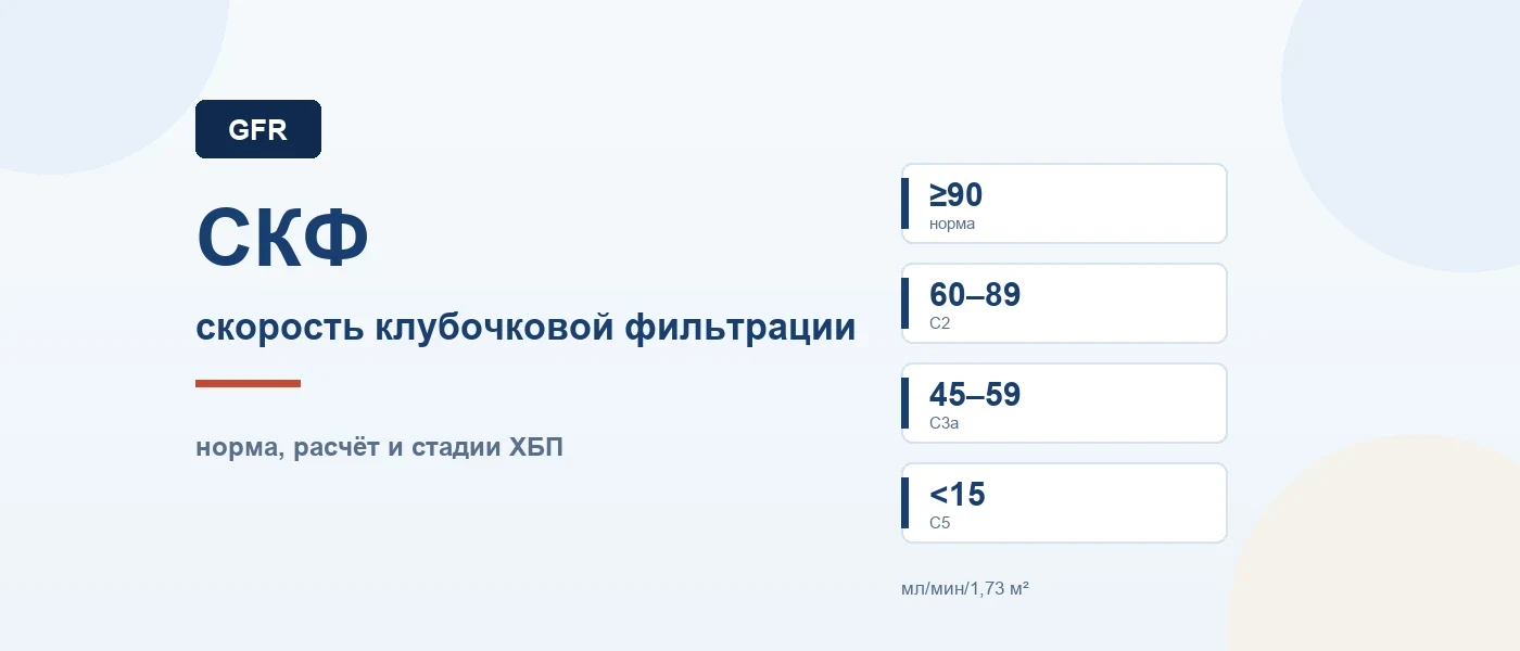 Иллюстрация к статье: СКФ (скорость клубочковой фильтрации): норма, расчёт по формуле и стадии ХБП