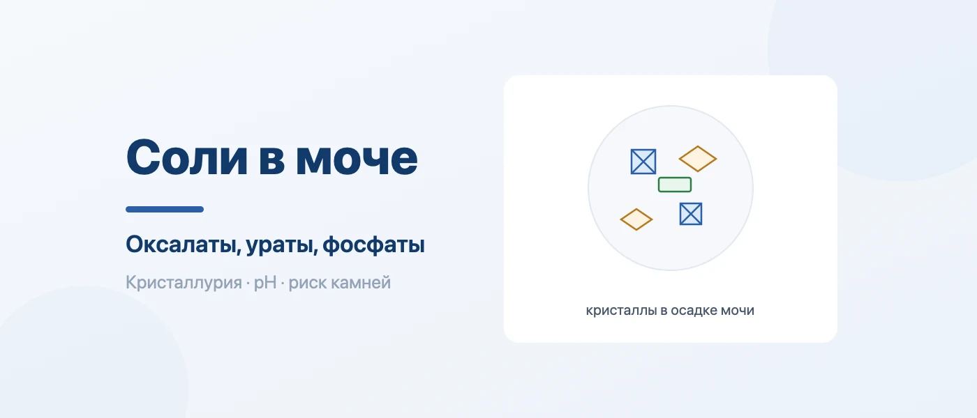 Иллюстрация к статье: Соли в моче: оксалаты, ураты и фосфаты — норма и что значит