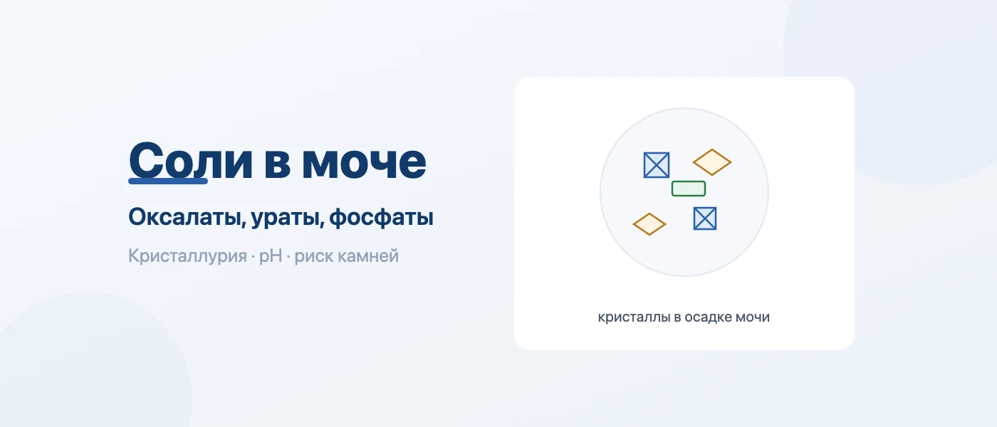 Обложка статьи: Соли в моче: оксалаты, ураты и фосфаты — норма и что значит