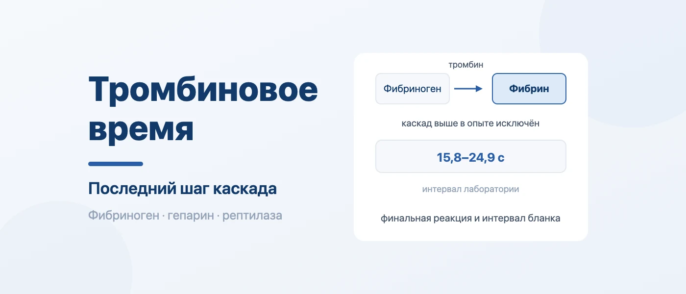 Обложка статьи: Тромбиновое время в коагулограмме: норма и причины удлинения