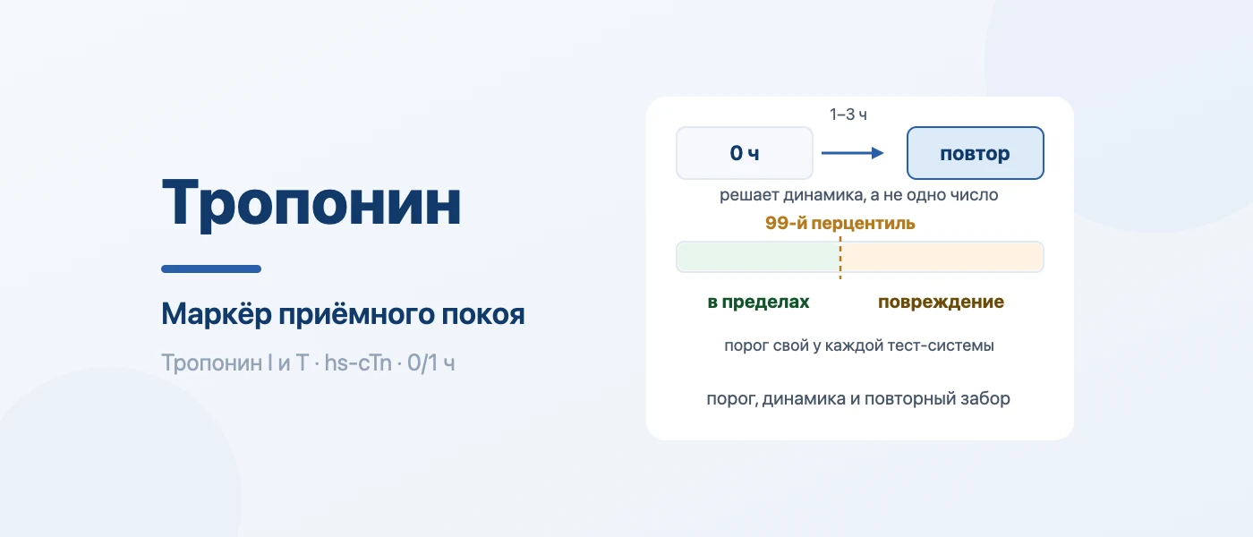Иллюстрация к статье: Тропонин: норма, что показывает анализ, тропонин I и тропонин Т