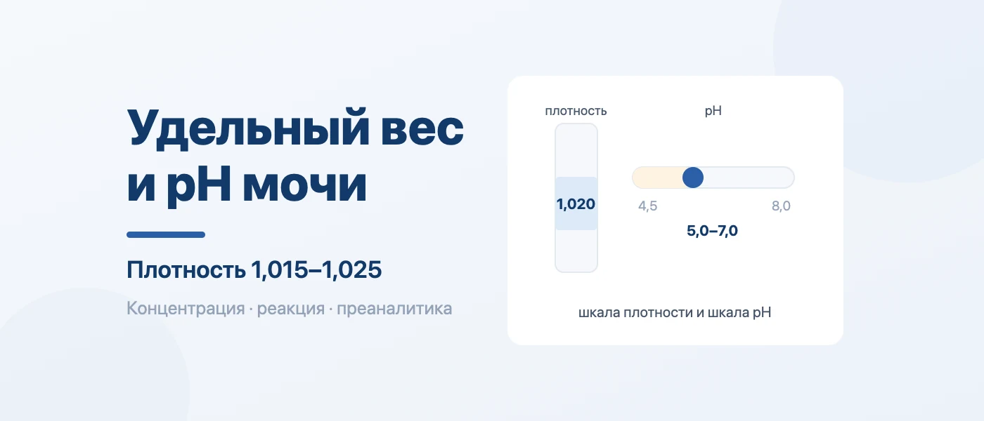 Обложка статьи: Удельный вес мочи и pH: норма относительной плотности
